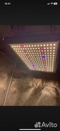 Quantum board 150 B Samsung Lm301h LED Light