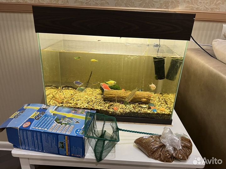 Аквариум 50 литров