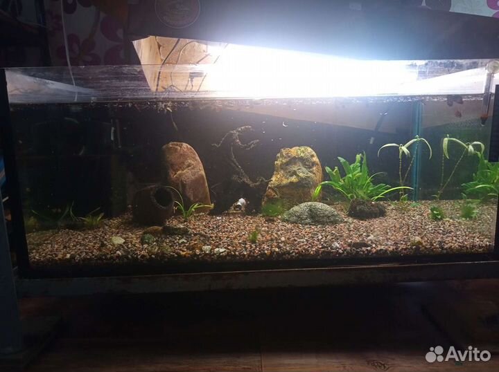 Аквариум