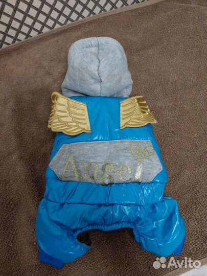 Одежда для собак