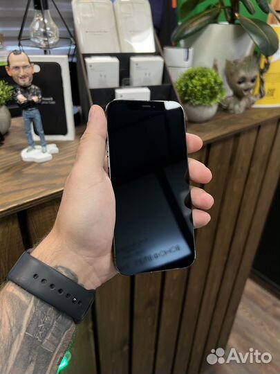 Замена стекла / дисплея / экрана айфон iPhone