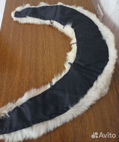 Гаржетка, песец