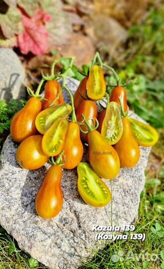 Семена томатов черри