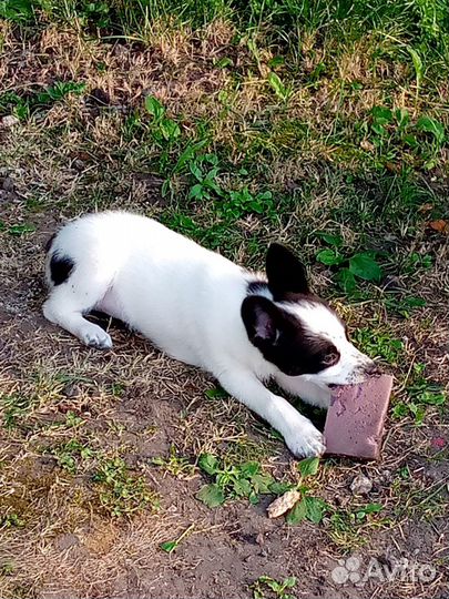 Маленькая девочка