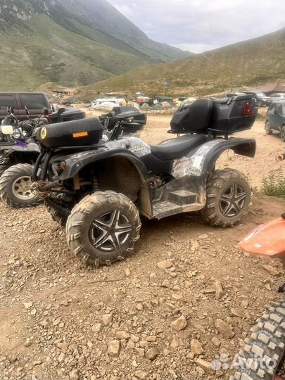 Стелс леопард