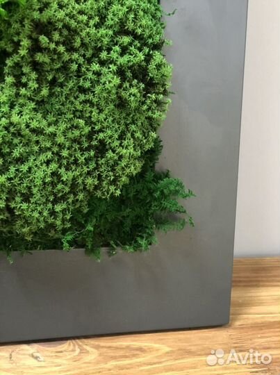 Картина интерьерная с растениями