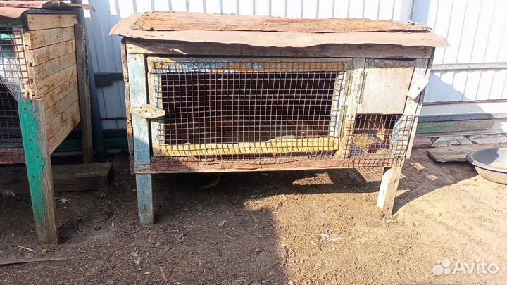 Клетки для кроликов