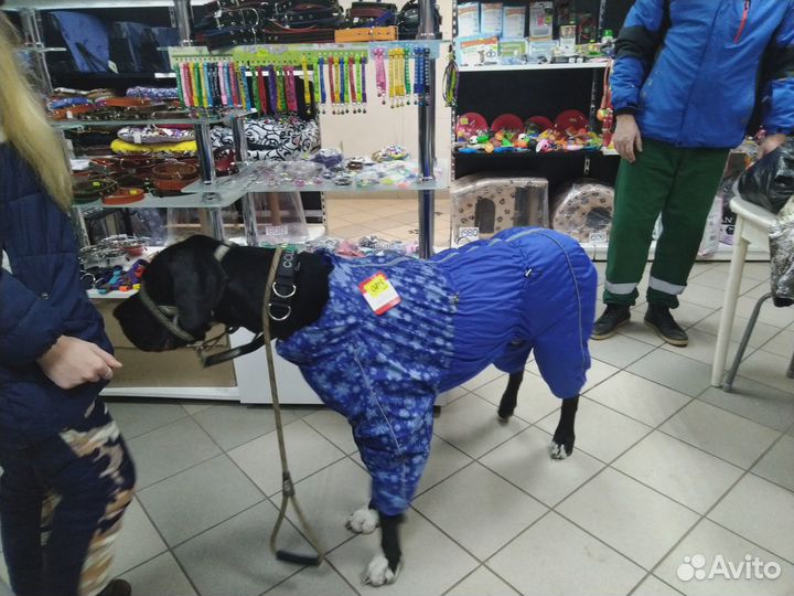 Дождевики для больших и средних собак