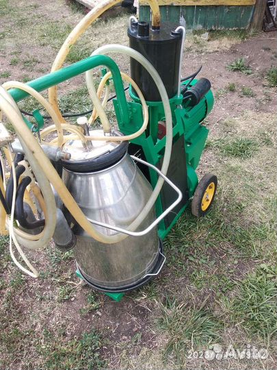 Доильный аппарат