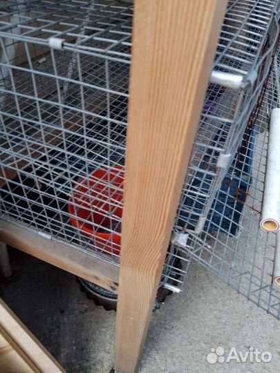 Клетки для перепелов