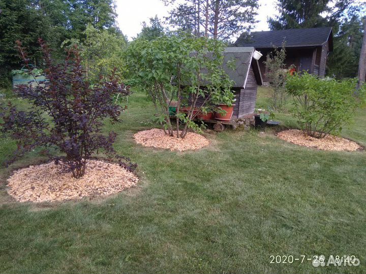 Эко-Мульча Щепа (ольха)