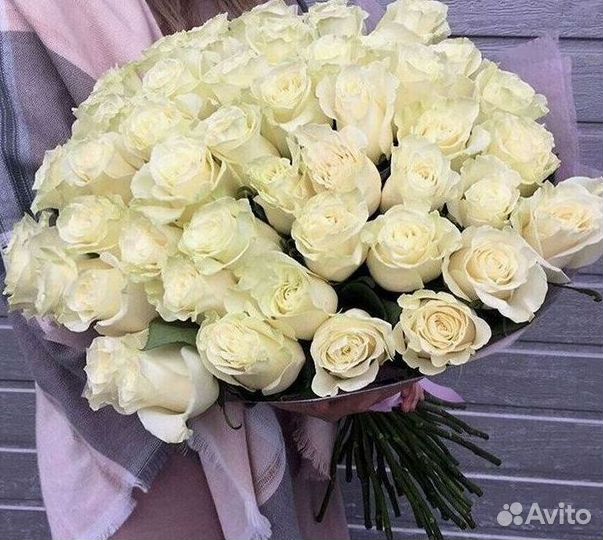 Высокие розы Гигантские розы Доставка цветов