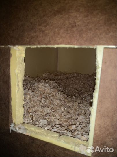 Будка для кошки утепленная