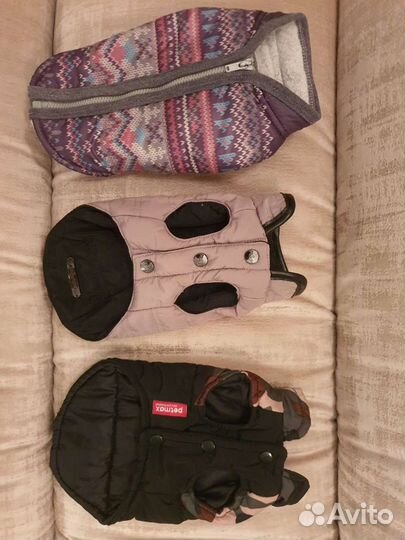 Вещи для щенка чихуахуа