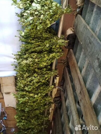 Веники для бани