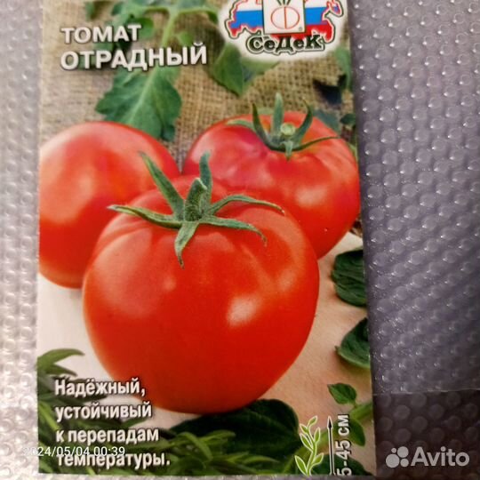 Рассада помидор и перцев