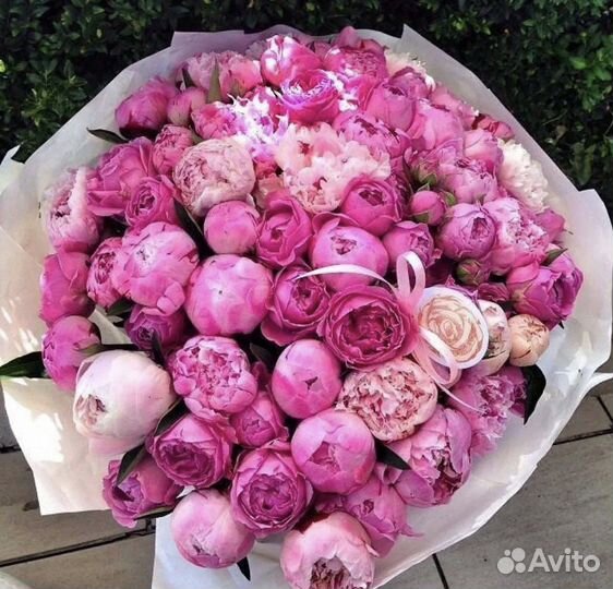 Пионы цветы букеты