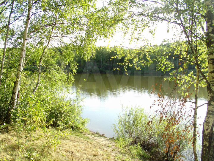 Участок 44 сот. (СНТ, ДНП)