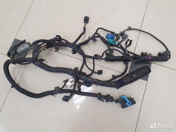 Проводка двс Ford Focus 2 седан hwdb 2006