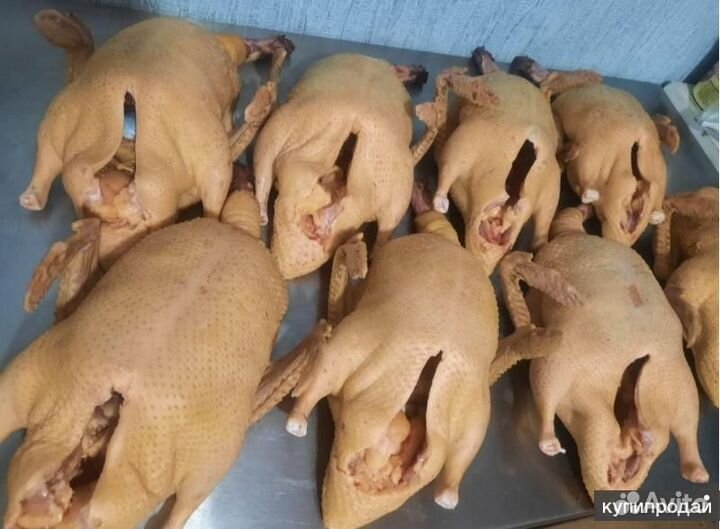 Мясо птицы домашнее