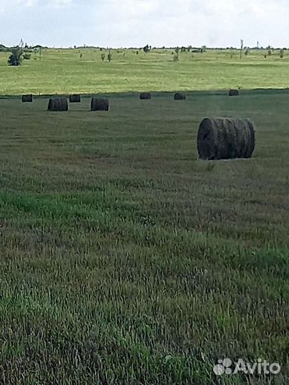 Сено в рулонах 2023