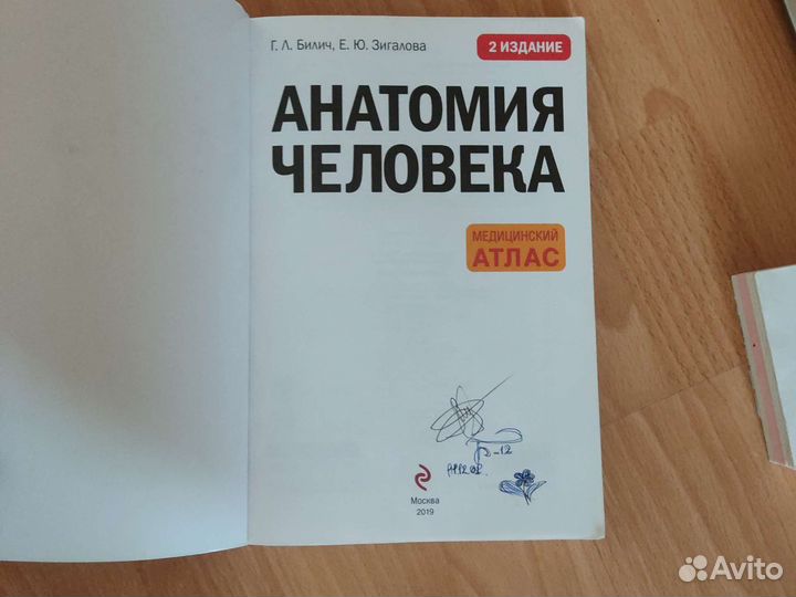 Анатомия человека Г. Л. Билич, Е. Ю. Зигалова