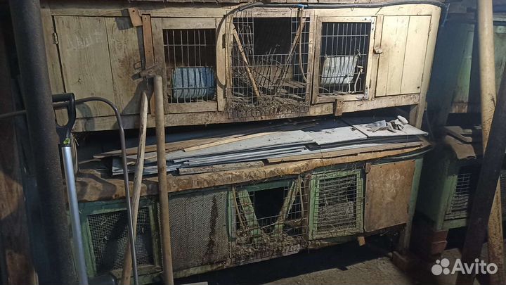 Клетка для кролика