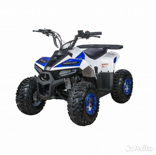 Квадроцикл ATV 110 Rider