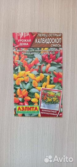 Перчик декоративный комнатный