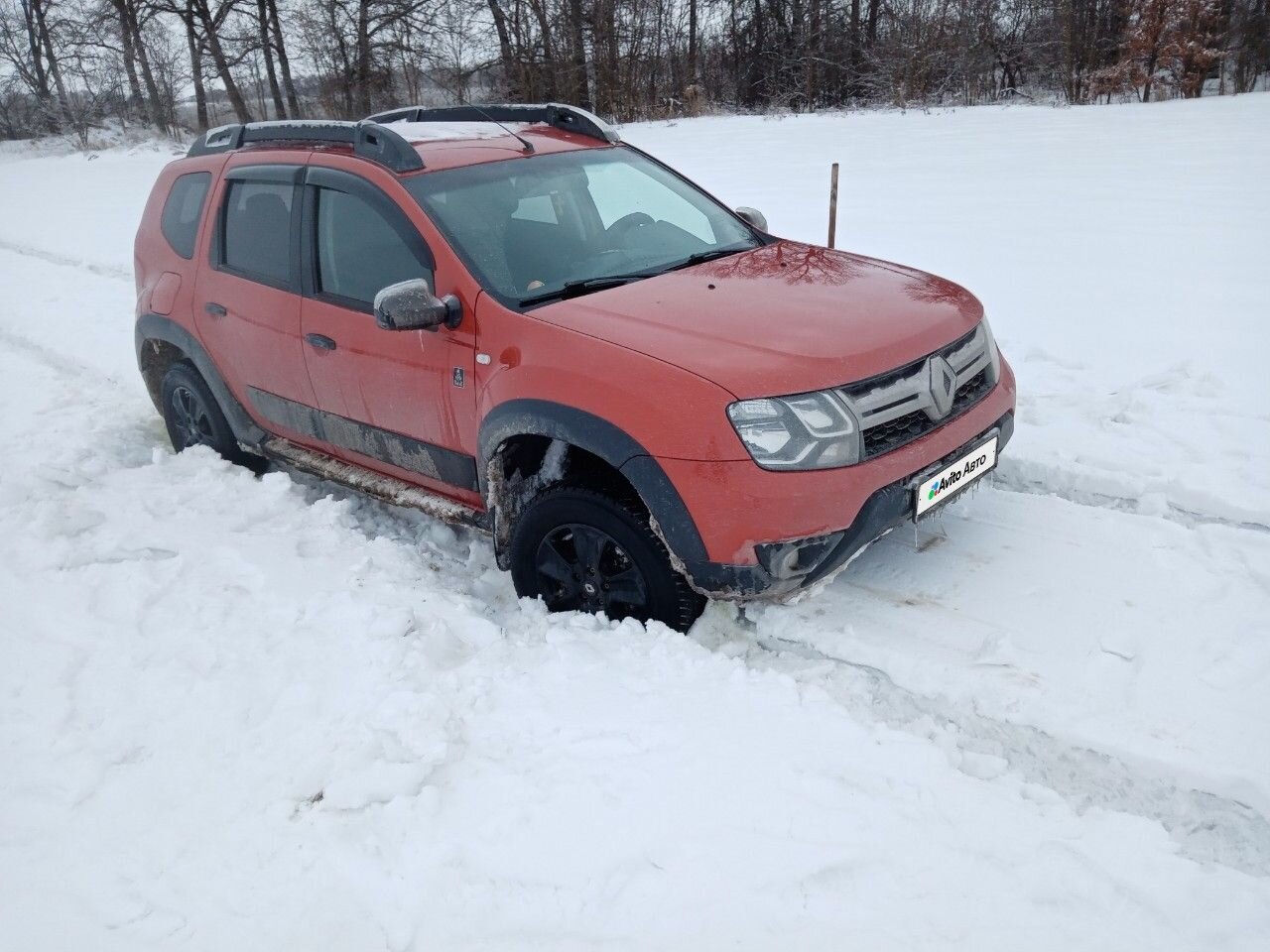 Renault Duster: фото владельца