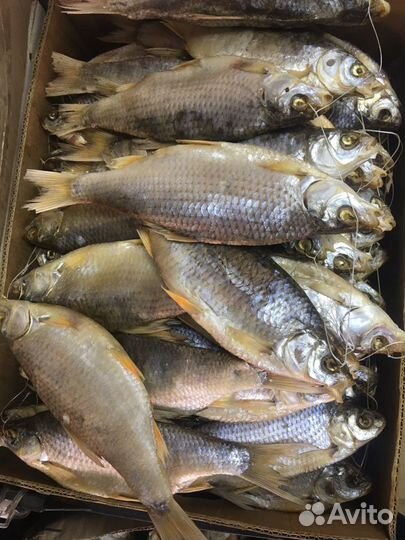 Рыба тарань опт