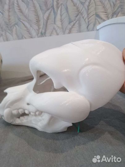 Череп собаки скал дог. Фурсьют