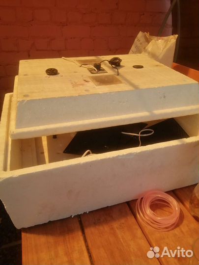 Инкубатор для яиц автоматический бу