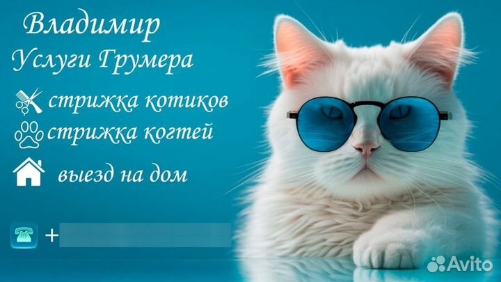 Новинка Стрижка (груминг) кошек с выездом на дом