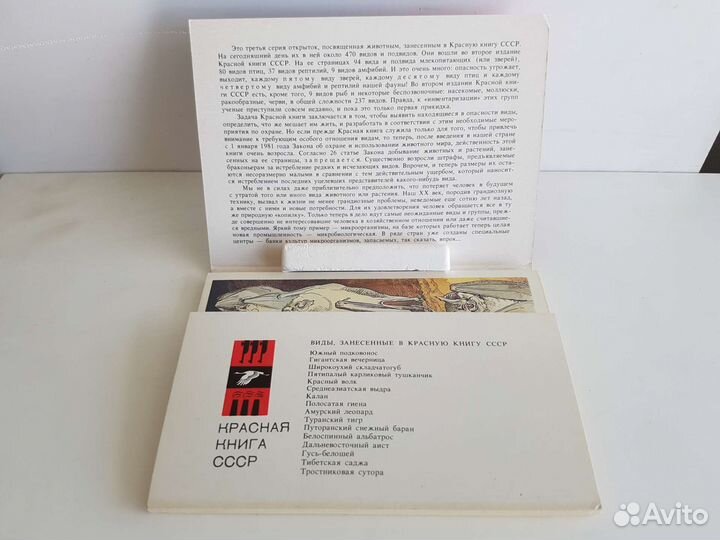 Познавательные книги о природе