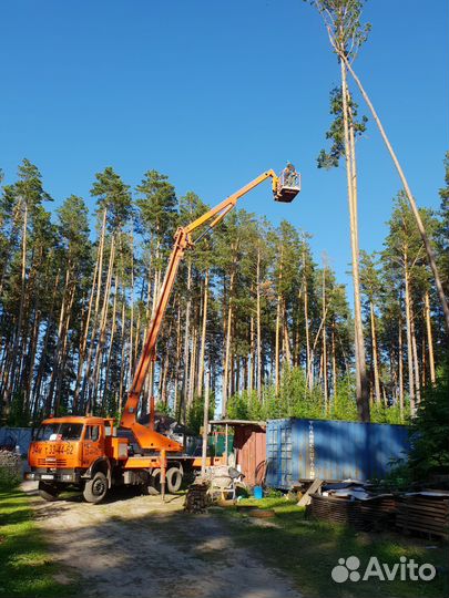 Спил деревьев любой сложности