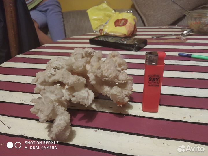 Коралл морской натуральный