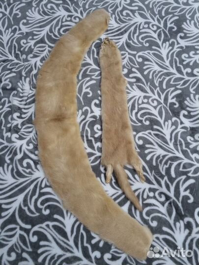 Шкурка норки