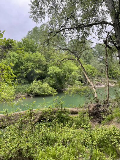 Участок 25 сот. (ИЖС)