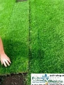 Гидропосев