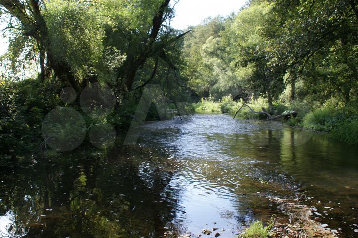 Участок 10 сот. (СНТ, ДНП)