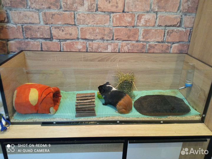 Клетка стеллаж для грызуна