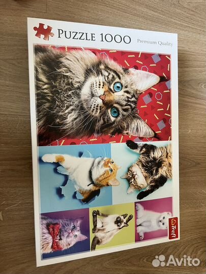 Пазлы 1000 деталей