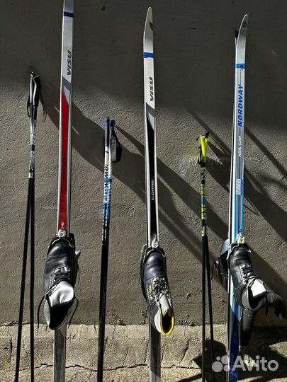 Беговые лыжи