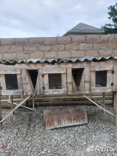 Клетки для кроликов бу