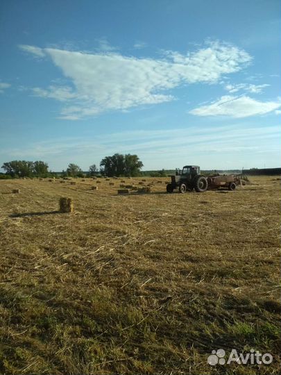 Сено вика-овес