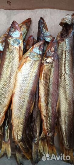 Корюшка вяленая