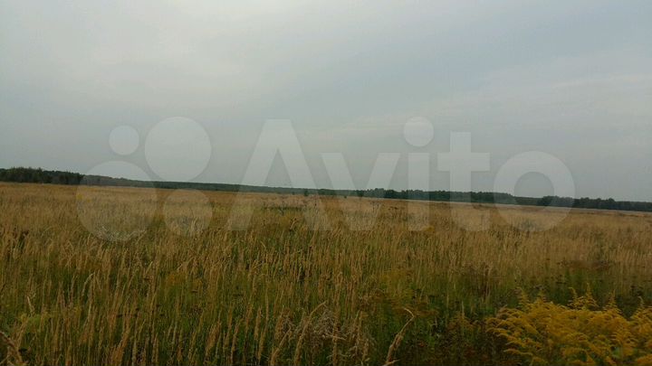 Участок 13 га (СНТ, ДНП)