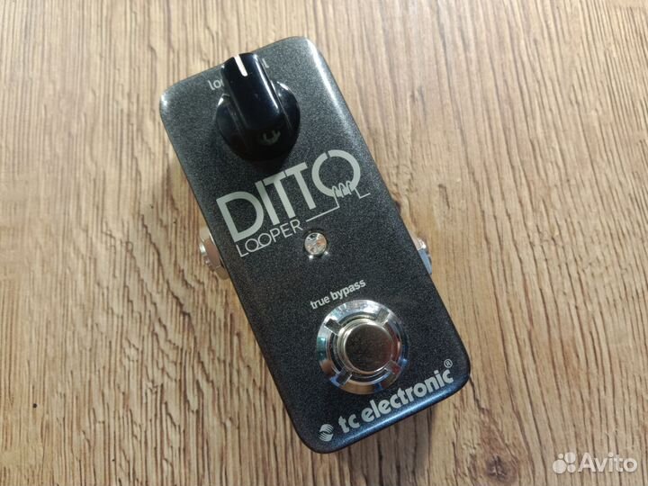 Tc electronic Ditto looper