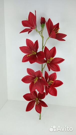 Ветка безвременника